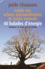 Guide Des Arbres Extraordinaires De Suisse Romande / 40 Balades D'Energie - Preview