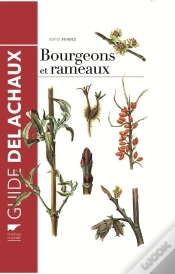Capa do artigo Guide Des Bourgeons Et Rameaux