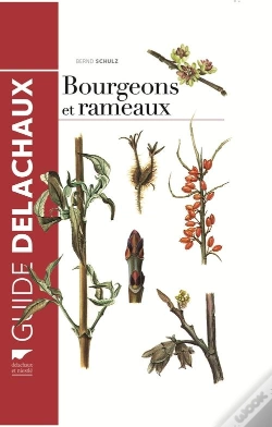 Capa do artigo Guide Des Bourgeons Et Rameaux