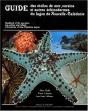 Guide Des Etoiles De Mer, Oursins Et Autres - Preview