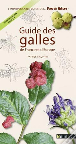 Capa do artigo Guide Des Galles
