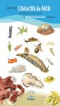 Guide Des Limaces De Mer Nudibranches Et Autres Groupes De Méditerranée Française Et Alentours - Preview