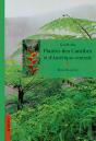Guide Des Plantes Des Caraibes Et D'Amerique Centrale - Preview
