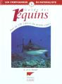 Guide Des Requins - Preview