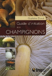 Capa do artigo Guide D