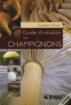 Capa do artigo Guide D'Initiation Aux Champignons