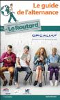 Guide Du Routard De L'Alternance - Preview
