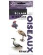 Guide Éclair : Oiseaux Du Québec - Preview