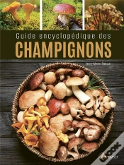 Capa do artigo Guide Encyclopedique Des Champignons