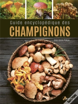 Capa do artigo Guide Encyclopedique Des Champignons