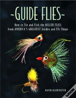 Capa do artigo Guide Flies