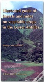 Guide Of Insects And Mites