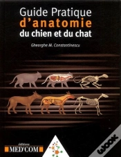 Capa do artigo Guide Pratique D