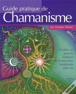 Capa do artigo Guide Pratique De Chamanisme