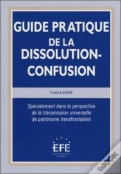 Capa do artigo Guide Pratique De La Dissolution-Confusion