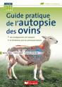 Guide Pratique De L'Autopsie Des Ovins - Preview