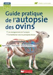 Guide Pratique De L'Autopsie Des Ovins