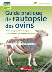 Capa do artigo Guide Pratique De L