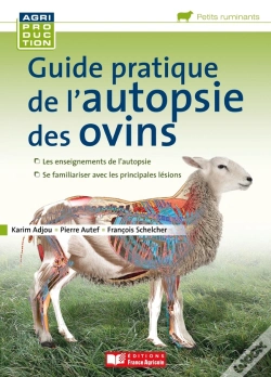 Capa do artigo Guide Pratique De L'Autopsie Des Ovins
