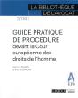 Guide Pratique De Procédure Devant La Cour Européenne Des Droits De L'Homme (Édition 2018) - Preview