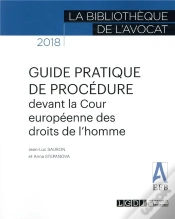 Capa do artigo Guide Pratique De Procédure Devant La Cour Européenne Des Droits De L