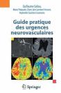 Guide Pratique Des Urgences Neurovasculaires - Preview