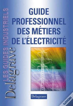 Capa do artigo Guide Professionnel Des Métiers De L'Électricité