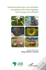 Capa do artigo Guide Technique Pour Une Utilisation Énergétique Des Huiles Végétales De La Cedeao