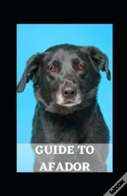 Capa do artigo Guide To Afador