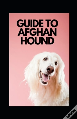 Capa do artigo Guide To Afghan Hound