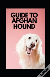 Capa do artigo Guide To Afghan Hound