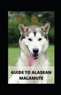 Guide To Alaskan Malamute