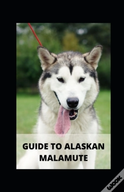 Capa do artigo Guide To Alaskan Malamute
