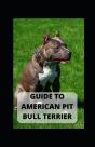 Guide To American Pit Bull Terrier - Preview