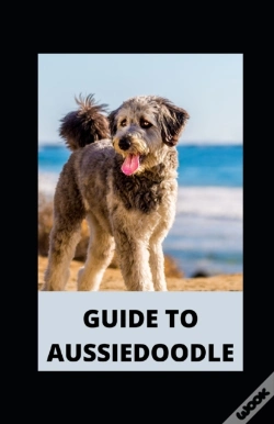 Capa do artigo Guide To Aussiedoodle
