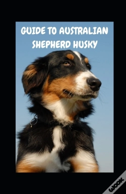 Capa do artigo Guide To Australian Shepherd Husky