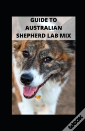 Capa do artigo Guide To Australian Shepherd Lab Mix