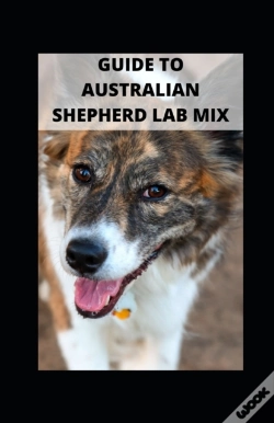 Capa do artigo Guide To Australian Shepherd Lab Mix