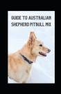 Guide To Australian Shepherd Pitbull Mix - Preview