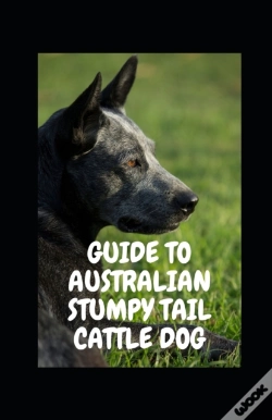 Capa do artigo Guide To Australian Stumpy Tail Cattle Dog