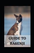 Guide To Basenji