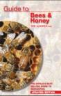 Guide To Bees & Honey - Preview