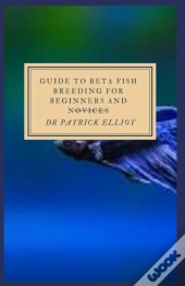 Guide To Beta Fish Breeding For Beginners And Novices