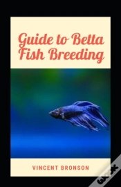Capa do artigo Guide To Betta Fish Breeding