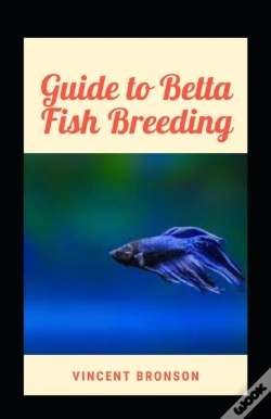 Capa do artigo Guide To Betta Fish Breeding