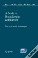 Guide To Biomolecular Simulations