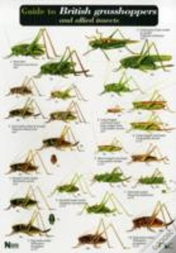 Capa do artigo Guide To British Grasshoppers And Allied Insects
