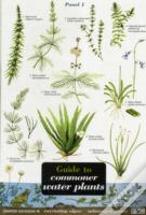 Guide To Commoner Water Plants