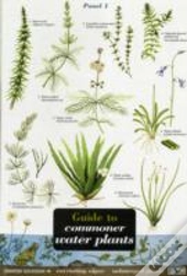 Guide To Commoner Water Plants