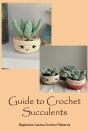 Guide To Crochet Succulents - Preview